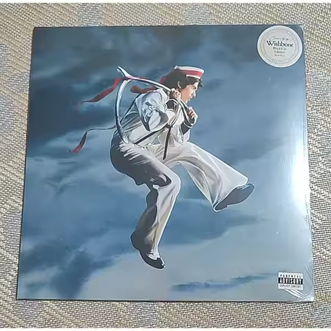 Genuine Conan Gray Wishbone LP for Vinyl Record Player