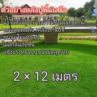 หญ้าเทียมขนาด2×12เมตรAAAขนสูง2cm. (24ตารางเมตร)ขนนุ่มพร้อมส่ง Artificial grass size 2×12 meters AAA