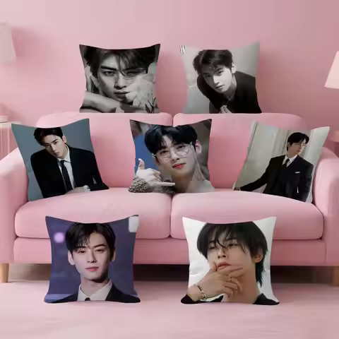 Singer Cha ido EunWoo Cushion Cover Pillow Cover Decor Pillowcase Printed Cushion Case for Couch