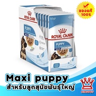 EXP6/2025 Royal canin MAXI puppy อาหารเปียกในน้ำเกรวี่ สำหรับลูกสุนัขพันธุ์ใหญ่ บรรจุ 10 ซอง