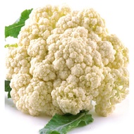 31.Cauliflower White Seeds 50pcs Free Normal Mail in SG