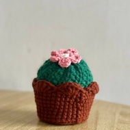 Cute handmade crochet cactus flower pot gifts