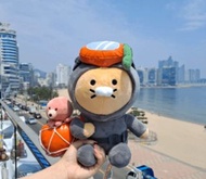 現貨💢濟州限量版❣️ 春植 海女公仔  Kakao Friends jeju limited edition 韓國 choonsik 💢正品