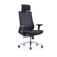 Sheldon Premium Ergonomic Comfortable High Back Office/Meeting Room/Study Professional Chair Black
