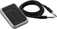 Zoom FS-01 Expression Pedal, Designed to be Used with All Zoom Multi-effects Processors Including th