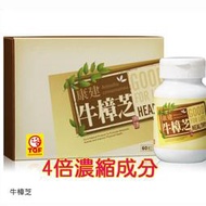 康建牛樟芝4倍濃縮子實體牛樟芝子實體膠囊GMP廠生產-1盒60顆