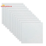 12 Sheets 10mil  Sheet 12 X 12 Inch Milky Translucent PET Blank Stencil Making Sheet  (10mil)