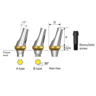 Tilted Abutment for Osstem implant(type A)