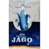 ADV Jago (varietas PAC 789)/PAC Raksasa