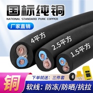 2-Core Cable 2.5mm2 Pure Copper Zhujiang Wire 1/4/6mm2 Flexible Power Extension Cord
