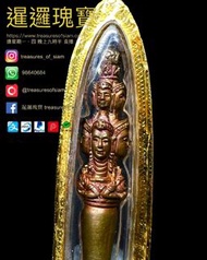 屈哥孔 龍耐 2548-49年 澤度金 第一期權仗