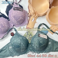 Large Size Bra 2538 (Size 44-50 Cup C) Sisterhood