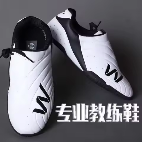 Classic Brand Professional Taekwondo Shoe Top Quality Wearable Martial Arts Training Shoe Wushu Taic