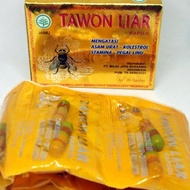 tawon liar asli