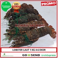 PROMO Lobster Laut Besar 1 kg 4-6 ekor/LOBSTER (GARANSI UANG KEMBALI)