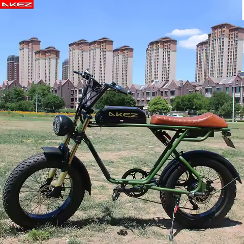 20 Inch Fat Tire Electric Bike Folding Lithium Ebike 7 Speed E Bike