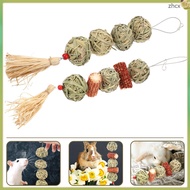 Pet Toy Bunny Chew Toys for Cage Accessories zhihuicx