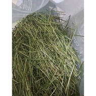 Timothy Hay For Rabbit Chinchilla Guinea Pig Food Dried Timothy Grass
