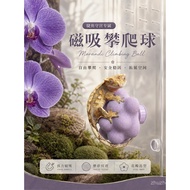 Eyelash Gecko Climbing Pet Magnetic Landscaping Rock Climbing Ball