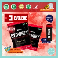 Evolene WHEY PROTEIN EVO WHEY 50 SERVING / SACHET BPOM HALAL MUI CHOCOLATE MOKA EVO WHEY