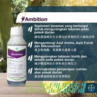 Ambition 1L Dari BAYER