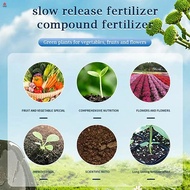 END# Home Gardening Universal Slow-Release Tablet Organic-Fertilizer Plant Growth Nutrition Tablets