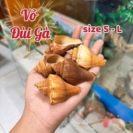 Chicken Thigh Shells small size - L mouth (1.5cm ~ 3cm) used to replace shells for snails.