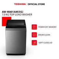 Toshiba AW-M801AM(SG) 7.0 KG Top Load Washing Machine (Silver)