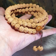 11.5mm XL "ginger yellow" 5 Mukhi (Faces) "Double Dragons" rare large size beads small species Rudraksha 108 mala beads