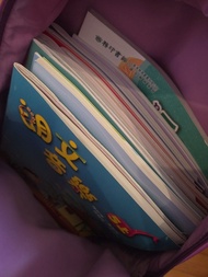 $20 環保價 書包 Disney Frozen II Elsa Purple Backpack for School