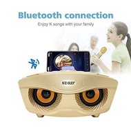 READY STOCK Hot SDRD SD-306 Wireless Bluetooth Dual Microphone Karaoke Portable 3D Stereo Speaker mi