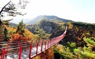 DMZ Tour: Red Suspension Bridge & Observatory from Seoul