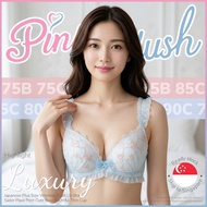 『Ship out 24h』Japanese Plus Size Wireless Push Up Bra Luxury 3D Embroidery Flowers 大码内衣 75B 75C 80B 