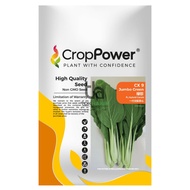 Benih Sawi Hijau/Caixin (Jumbo Green) CX9 Hibrid F1 CROP POWER (100gm)