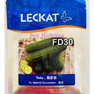 20G FD30 CUCUMBER LECKAT