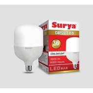 Solar Capsule LED Light 36w/36w