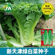 Wholesale Tianjin Green Chinese Cabbage Seeds Green Top Green Leaf Old Variety Green Hemp Leaf Winter Storage Pickled Ca