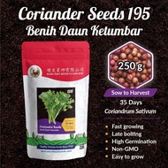 Benih Ketumbar S195 Coriander Seeds [250 Gram] 芫茜/香菜种子 Soon Huat Seeds