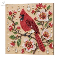 Framed Bird DIY Pearl Painting Kit 7.87x7.87x0.59 Inch