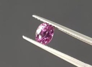 揚邵一品1.26ct (附證書)粉紅藍寶石 pink剛玉 無燒顏色美 馬達加斯加產