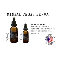 MINYAK URUT LINTAH BELACAK TEGAK BENUA (Minyak Untuk Lelaki)