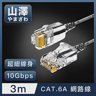 山澤 Cat.6A 10Gbps超高速傳輸八芯雙絞鍍金芯極細網路線 黑/3M