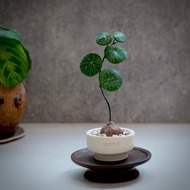 圓葉山烏龜－手工革製小盆栽 送禮