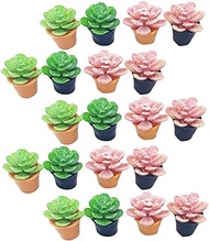 Gadpiparty 20pcs Simulated Succulent Summer Party Ornament Succulents Plants House Plants Indoors Live Miniature Items Miniature Potted Plant Bonsai Craft Doll House Resin Office Small Plant
