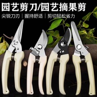 Gardening Shears Pruning Shears Flower Shears Garden Shears Flower Shears Branches Fruit Tree Shears