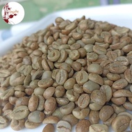 READY STOCK kopi greenbean biji mentah robusta honey 1 kg