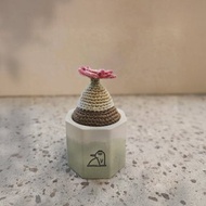 肉錐屬小燈泡-手作編織植物