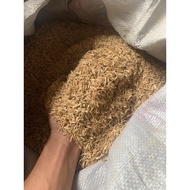 Sekam Padi Mentah / Bakar (1 KG) Rice Husk / Sekam Padi Baru