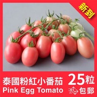 🍅可愛品種🇹🇭泰國粉紅小番茄種子25粒 包平郵