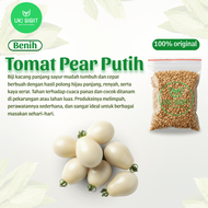 ( 10 Butir ) Benih Biji Tomat Pear Putih | White Pear Tomato | Ivory Pear Tomato
